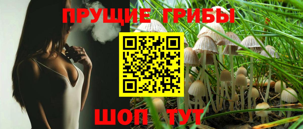 Галлюциногенные грибы Magic Shrooms  Вход с VPN  Алапаевск 